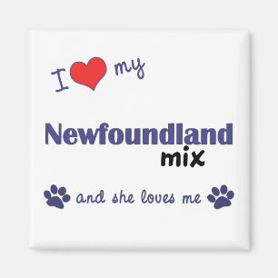 I Love My Newfoundland Mix (Female Dog) Magnet