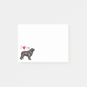 I Love my Newfoundland Post-it Notes