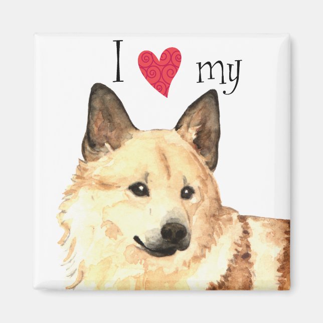 I Love my Norwegian Buhund Magnet (Front)