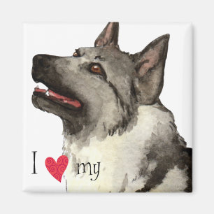 I Love my Norwegian Elkhound Magnet