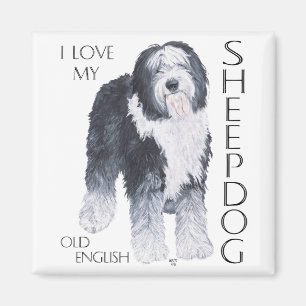 I Love My Old English Sheepdog Magnet