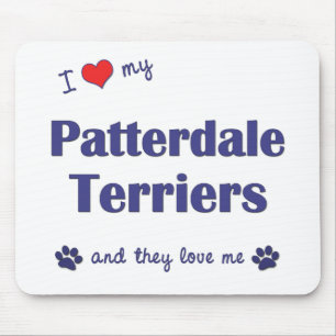 I Love My Patterdale Terriers (Multiple Dogs) Mouse Pad