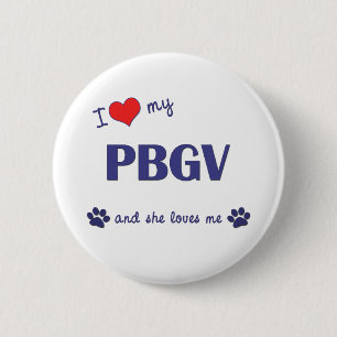 I Love My PBGV (Female Dog) 6 Cm Round Badge
