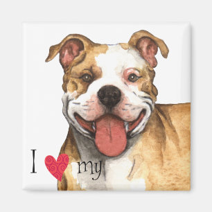 I Love my Pit Bull Terrier Magnet