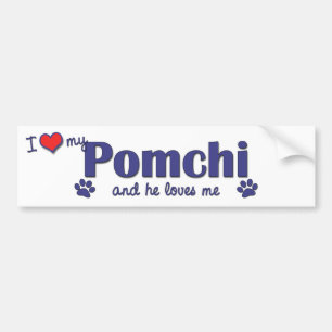 I Love My Pomchi (Male Dog) Bumper Sticker