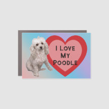 I Love My Poodle