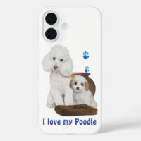 I love my Poodle