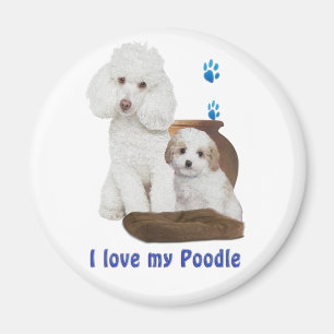 I love my Poodle Magnet