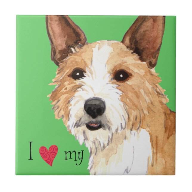 I Love my Portuguese Podengo Pequeno Tile (Front)