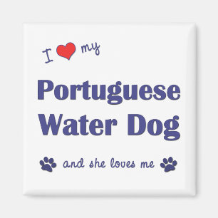 I Love My Portuguese Water Dog (Female Dog) Magnet