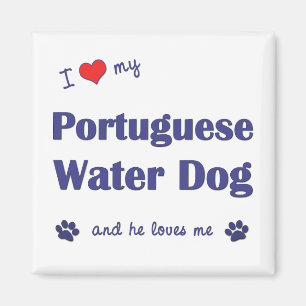 I Love My Portuguese Water Dog (Male Dog) Magnet