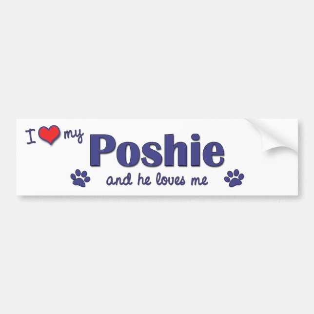 I Love My Poshie (Male Dog) Bumper Sticker (Front)
