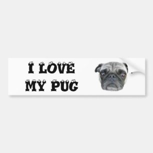 I love my pug bumper sticker