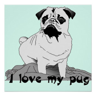 I Love My Pug Poster