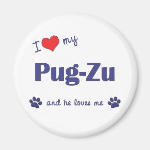 I Love My Pug-Zu (Male Dog) Magnet