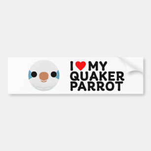 I LOVE MY QUAKER PARROT – blue Bumper Sticker
