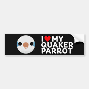 I LOVE MY QUAKER PARROT – blue Bumper Sticker
