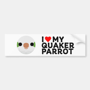 I LOVE MY QUAKER PARROT – normal Bumper Sticker