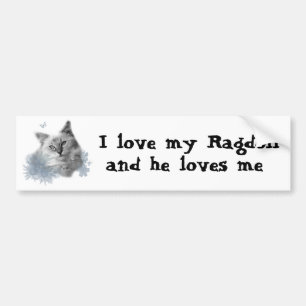I love my Ragdoll, and he loves me bumper sticker