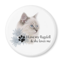 I love my ragdoll