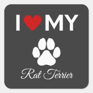 I love my Rat Terrier dog custom text Square Sticker