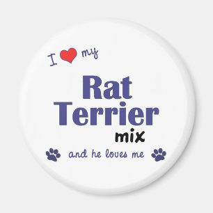 I Love My Rat Terrier Mix (Male Dog) Magnet