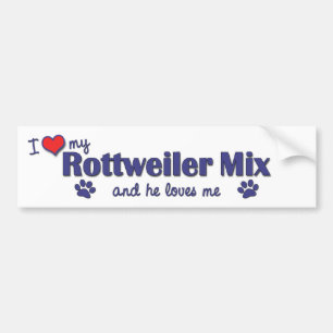 I Love My Rottweiler Mix (Male Dog) Bumper Sticker