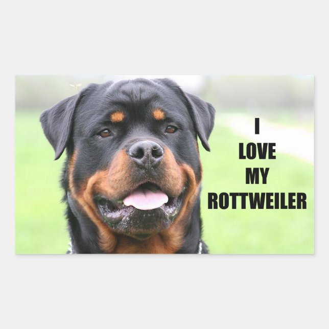 I Love My Rottweiler Rectangular Sticker (Front)