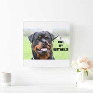 I Love my Rottweiler Square Wall Clock
