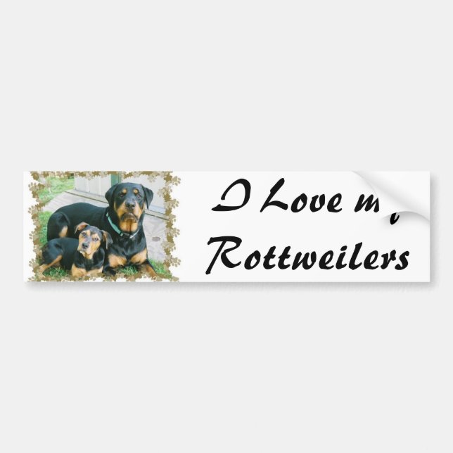 I Love my Rottweilers Bumper Sticker (Front)