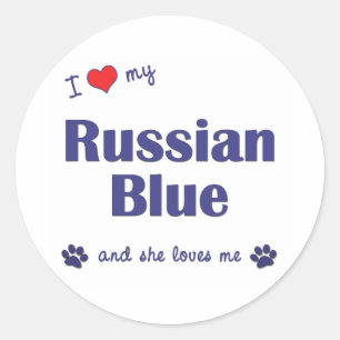 I Love My Russian Blue (Female Cat) Classic Round Sticker
