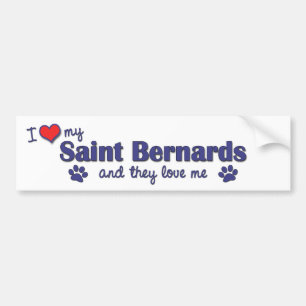 I Love My Saint Bernards (Multiple Dogs) Bumper Sticker