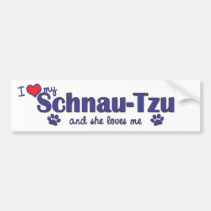 I Love My Schnau-Tzu (Female Dog) Bumper Sticker