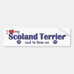 I Love My Scoland Terrier (Male Dog) Bumper Sticker