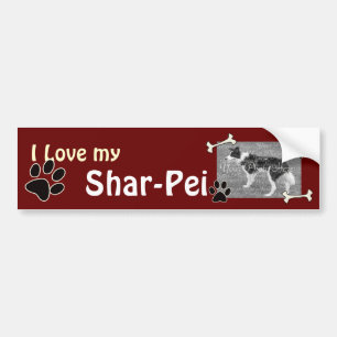 I love my Shar-pei Bumper Sticker
