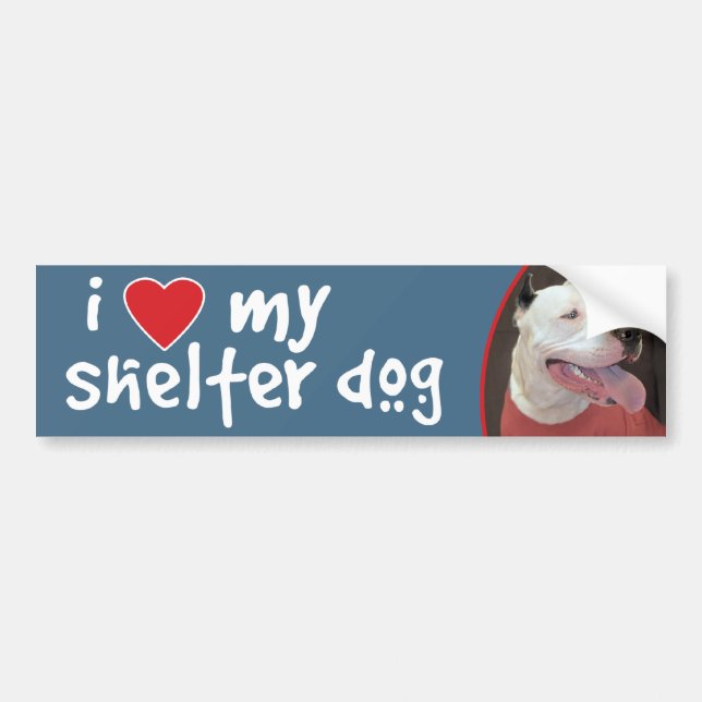 I Love My Shelter Dog-Pitbull Bumper Sticker/Decal Bumper Sticker (Front)