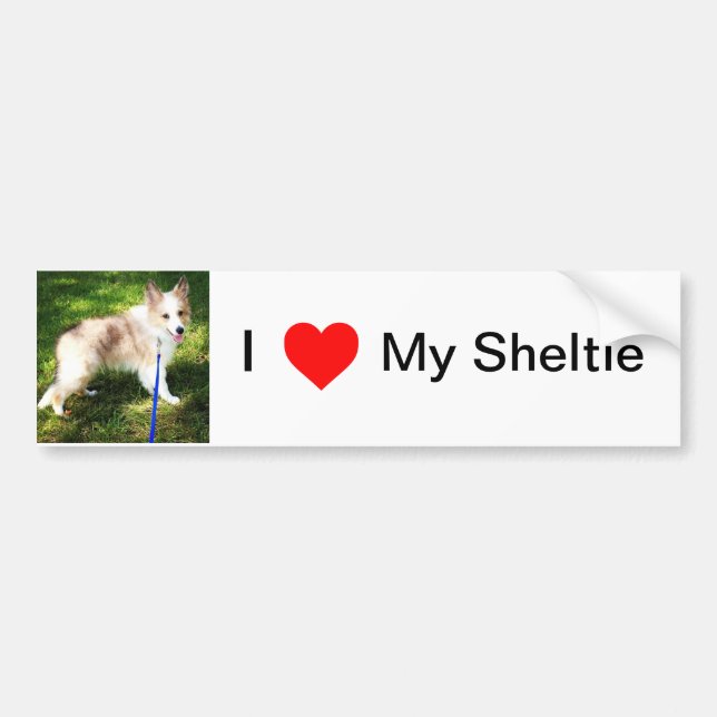 I Love My Sheltie bumper sticker (Front)