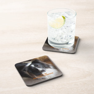 I Love My Shetland Sheepdog Coaster