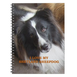 I Love My Shetland Sheepdog Notebook