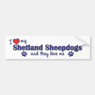 I Love My Shetland Sheepdogs (Multiple Dogs) Bumper Sticker
