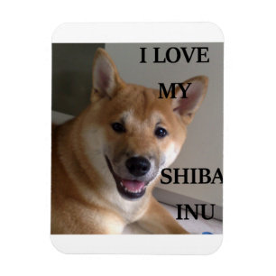 i love my shiba inu w pic magnet