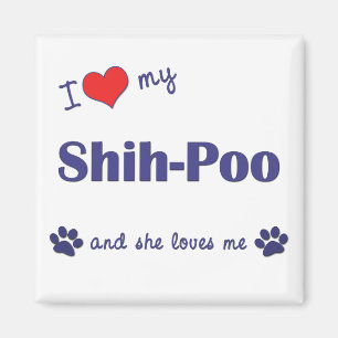 I Love My Shih-Poo (Female Dog) Magnet