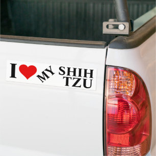 I Love my Shih Tzu Bumper Sticker