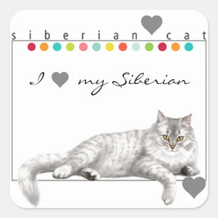 I Love My Siberian Cat Stickers