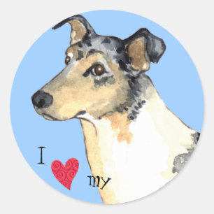 I Love my Smooth Collie Classic Round Sticker