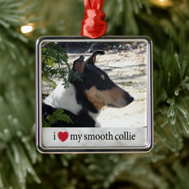 I love my Smooth Collie Photo Christmas Metal Ornament (Tree)