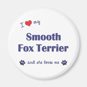 I Love My Smooth Fox Terrier (Female Dog) Magnet