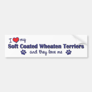 I Love My Soft Coated Wheaten Terrier (Multi Dogs) Bumper Sticker