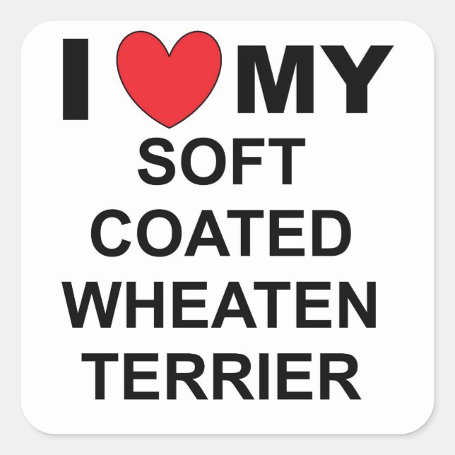 i love my soft coated wheaten terrier square sticker (Front)