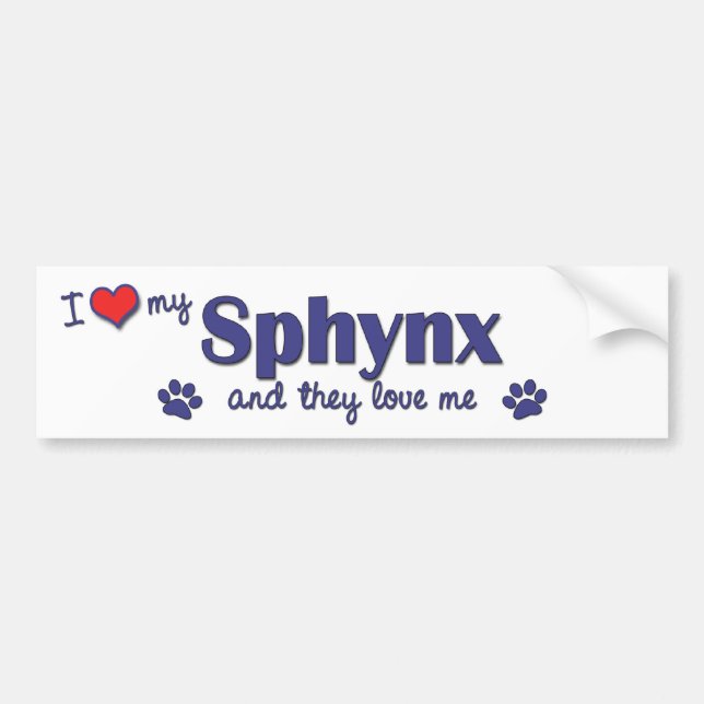I Love My Sphynx (Multiple Cats) Bumper Sticker (Front)